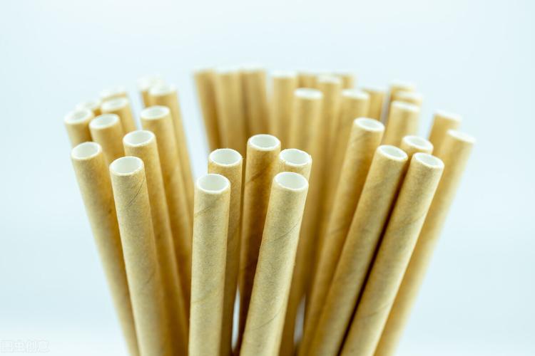 可降解塑料吸管vs紙吸管:誰才是禁塑令下奶茶最佳搭檔