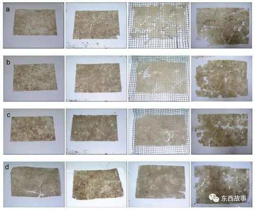 罰款 天津12月1日起禁售一次性塑料制品,可降解塑料真的是 救星 嗎