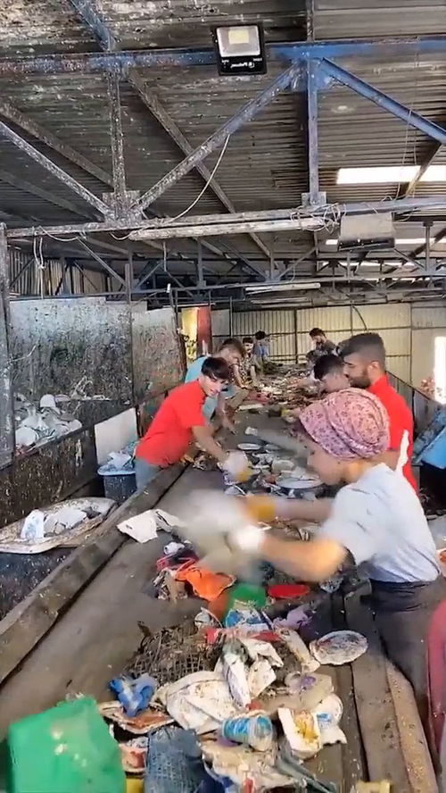 印度垃圾處理廠,沒有工作服不戴口罩,這環境讓人無語