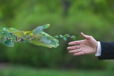 運鴻集團帶領全生物降解材料大步走向國際市場