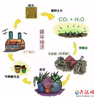 【秸稈禁燒】“秸”盡全力 向濃煙說“不”