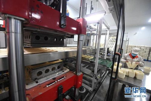 河北武安 可降解環保材料制品生產忙