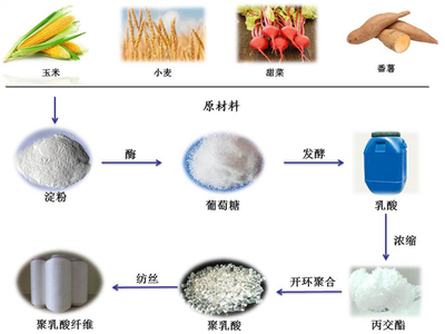 科普|生物基化學纖維之聚乳酸纖維(一)