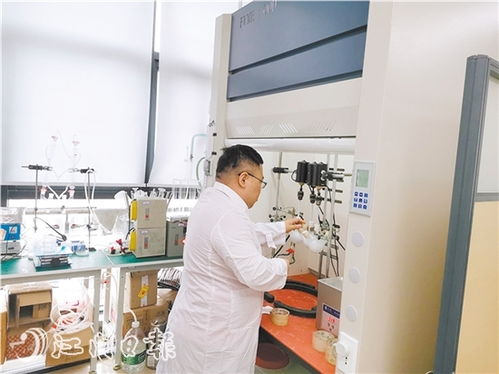 江門新聞 江門新聞網.江門綜合門戶網站