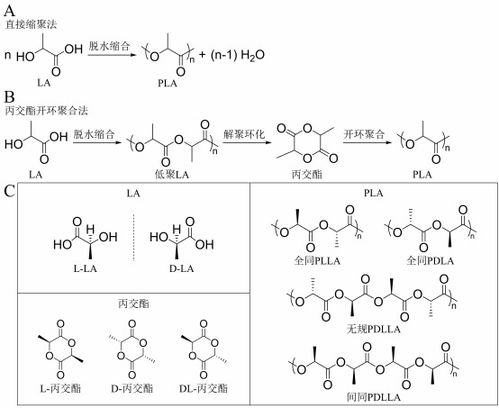 丁建勛 李鴻杰 楊佳臻 中國科學院長春應用化學研究所 新時代生物質降解材料聚乳酸,助力綠色環保的 未來之鑰 作品展示