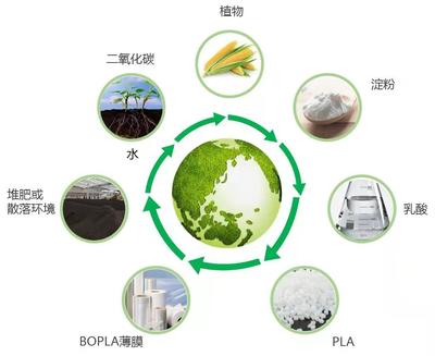廈門長塑量產國內首個生物基膜材!突破關鍵技術達到世界領先水平