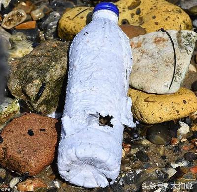 塑料水瓶何時退出歷史舞臺?新型紙水瓶在海水中三周即可完全降解