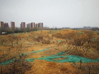 環保可降解生物基膜新材料捍衛機場環境安全