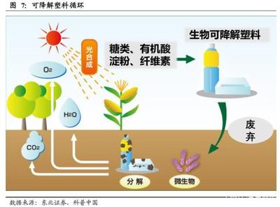 化工行業深度報告:從限塑到禁塑,可降解塑料迎黃金發展期