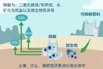 “新限塑令”到來,可降解塑料真的可以降解嗎?且聽挪亞專家怎么說