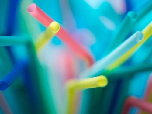 無塑料生活 離我們還有多遠 丨思客問答
