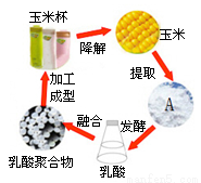 某科考小組在云南烏蒙山區發現了一種礦石.敲開表層發現里面有許多金黃發亮的晶體物質.酷似黃金.經檢測其成分有黃鐵礦(主要是FeS2).試回答: (1)在FeS2中.硫元素的化合價為-1價.則鐵元素的化合價為 . (2)這種礦石中蘊藏著海洋生物化石.這可為 提供有力的證據. 題目和參考答案--精英家教網--