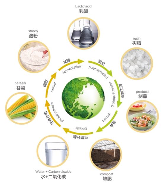 小材料,大應(yīng)用 一文了解聚乳酸 pla 生物降解塑料改性技術(shù)及產(chǎn)業(yè)化進(jìn)展