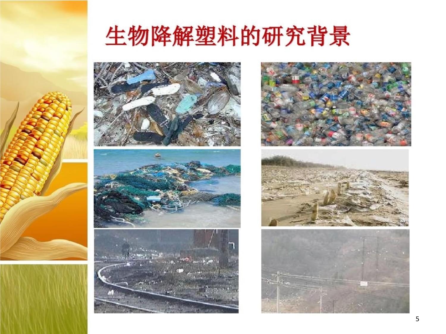 生物降解包裝材料的現狀與發展共課件