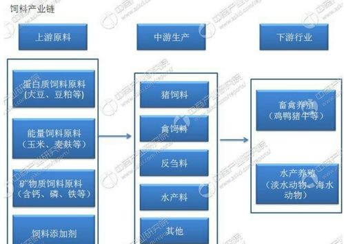 環保風不止,下一個商品投資新 靶心 是 養雞股