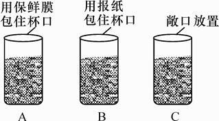 下列實驗用品中,由有機合成材料制成的是
