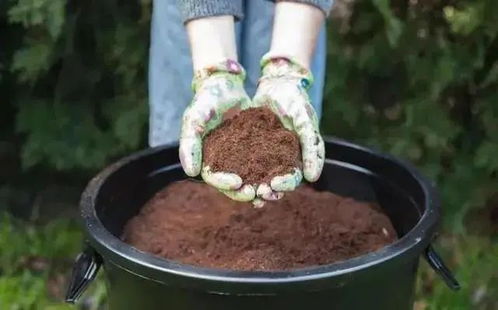 可生物降解塑料 與 可堆肥降解塑料