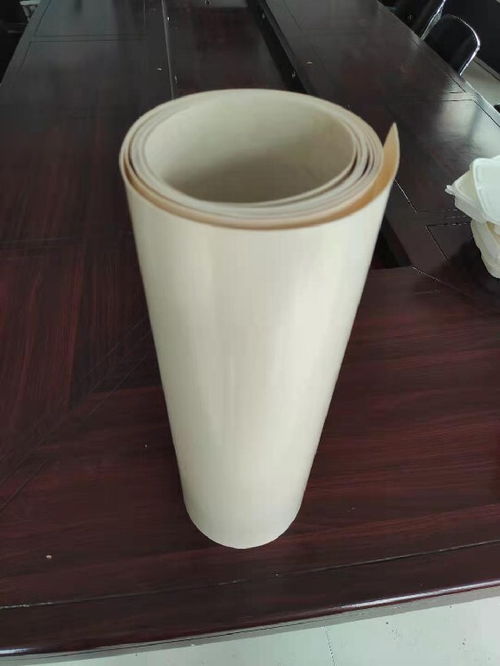 廣西可降解塑料片材性能可靠