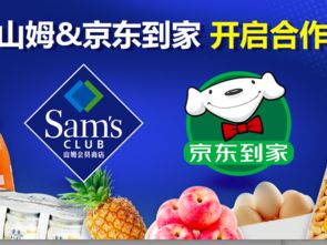 家用電器銷售 動點科技在數字化浪潮中的布局與機遇