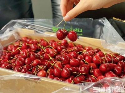 車厘子價格跳水，湖南水果零售均價應聲回落