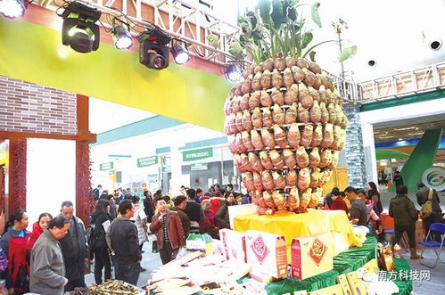 綠色生態成果綻放 三千種名特優農產品與家電銷售深度融合