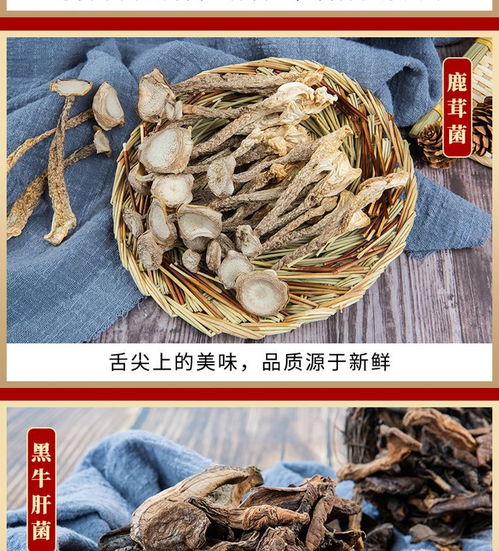 鮮山叔·臻選菌菇禮盒 品味山珍，禮贈健康，開啟現代廚房新“食”尚